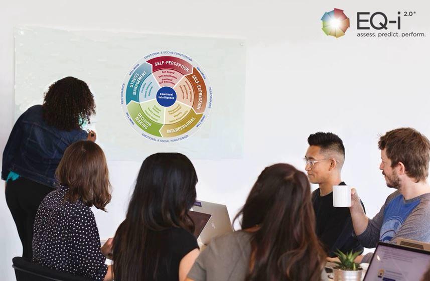 Introduction to EQ-i 2.0® in the Workplace Training (Debrief / Coaching Session Add-on) - Coaching Ottawa